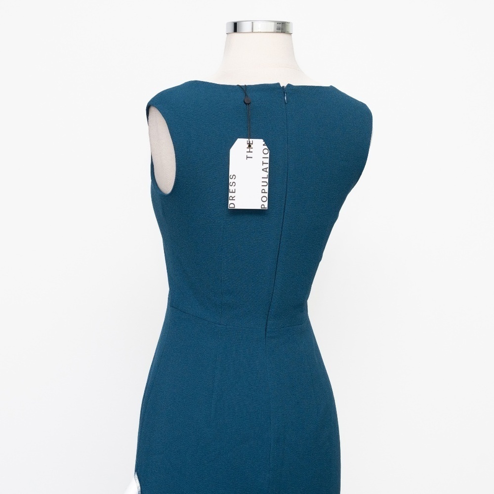 Dress The Population. Elle Dress. - Picture 10 of 16